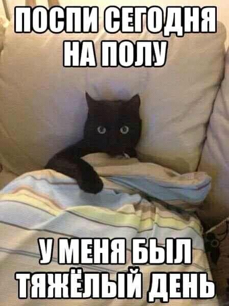 _ Шшп ЁЁ ЪннііпыиТдЩь