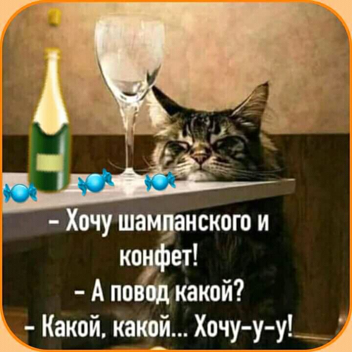 Хочу шамванского и кофе А повод какой Какой како Хочуу уьі