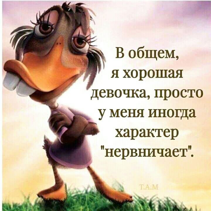 я хорошая девочка просто у меня иногда характер нервъшчает