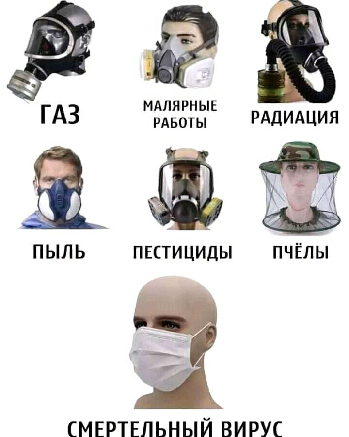 АЛЯРНЫЕ ГАЗ РАБО РАДИАЦИЯ ПЫЛЬ ПЕСТИЦИДЫ ПЧЁЛЫ СМЕРТЕЛЬНЫЙ ВИРУС