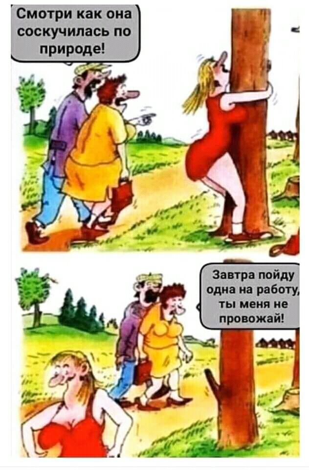 Сийри кёкЪиі доскущас пб природе