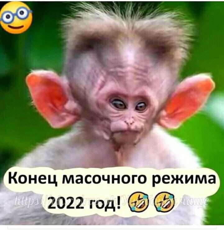 Конец масочного режима 2922 год
