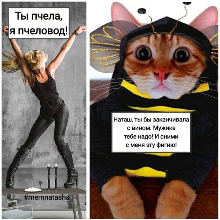 Наташ ты бы заканчивала с вином Мужика тебе надо И сними с меня эту Фигню