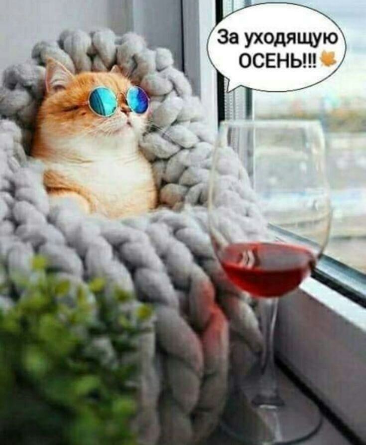ЧГ Заутдя 15 осеньъгьгчую чзм іі і