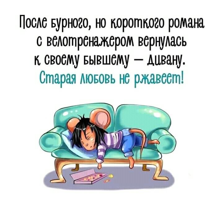 После Бурного но короткого романа о водотреножором ворнмаоь к своему Бывшему дивану Старая мововь нс ржавеет