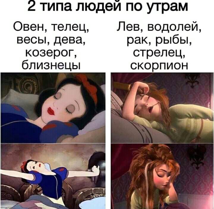 типа людеи по утрам Овен телец Лев водолей весы дева рак рыбы козерог стрелец близнецы скорпион