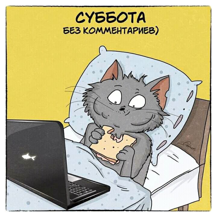 СУББОТА БЕЗ КОММЕНТАРИЕВ