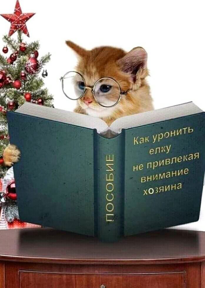 11_3_чН