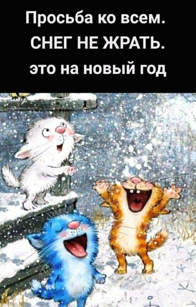 и ж Е Н г Е Н С ЭТО на НОВЫИ ГОД м е с в о к а б ь с 0 Р П