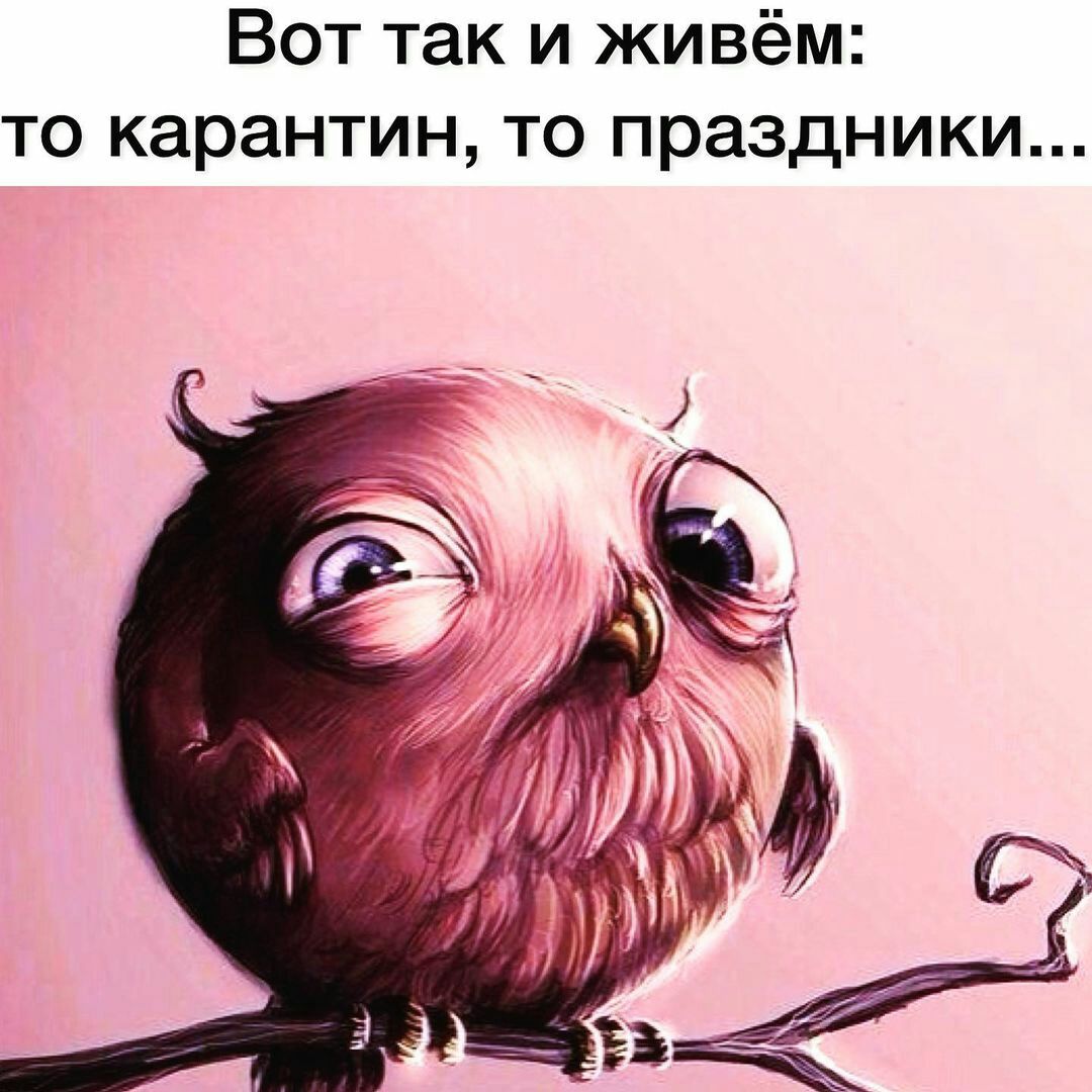 Вот так и живём то карантин то праздники