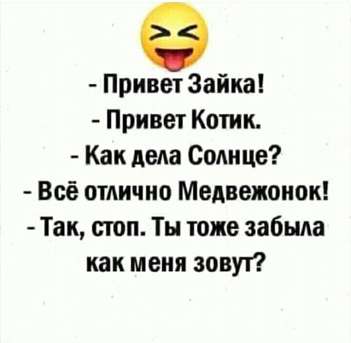 Привет Зайка Привет Котик Как дела Солнце Всё отлично Медвежонок Так стоп Ты тоже забыла как меня зовут