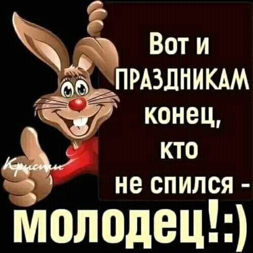 г Вот и ид ПРАЗДНИКАМ конец а кто не спился Молодец