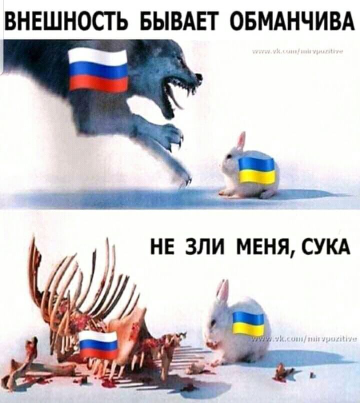 ВНЕШНОСТ Ь БЫВАЕТ ОБМАНЧИВА