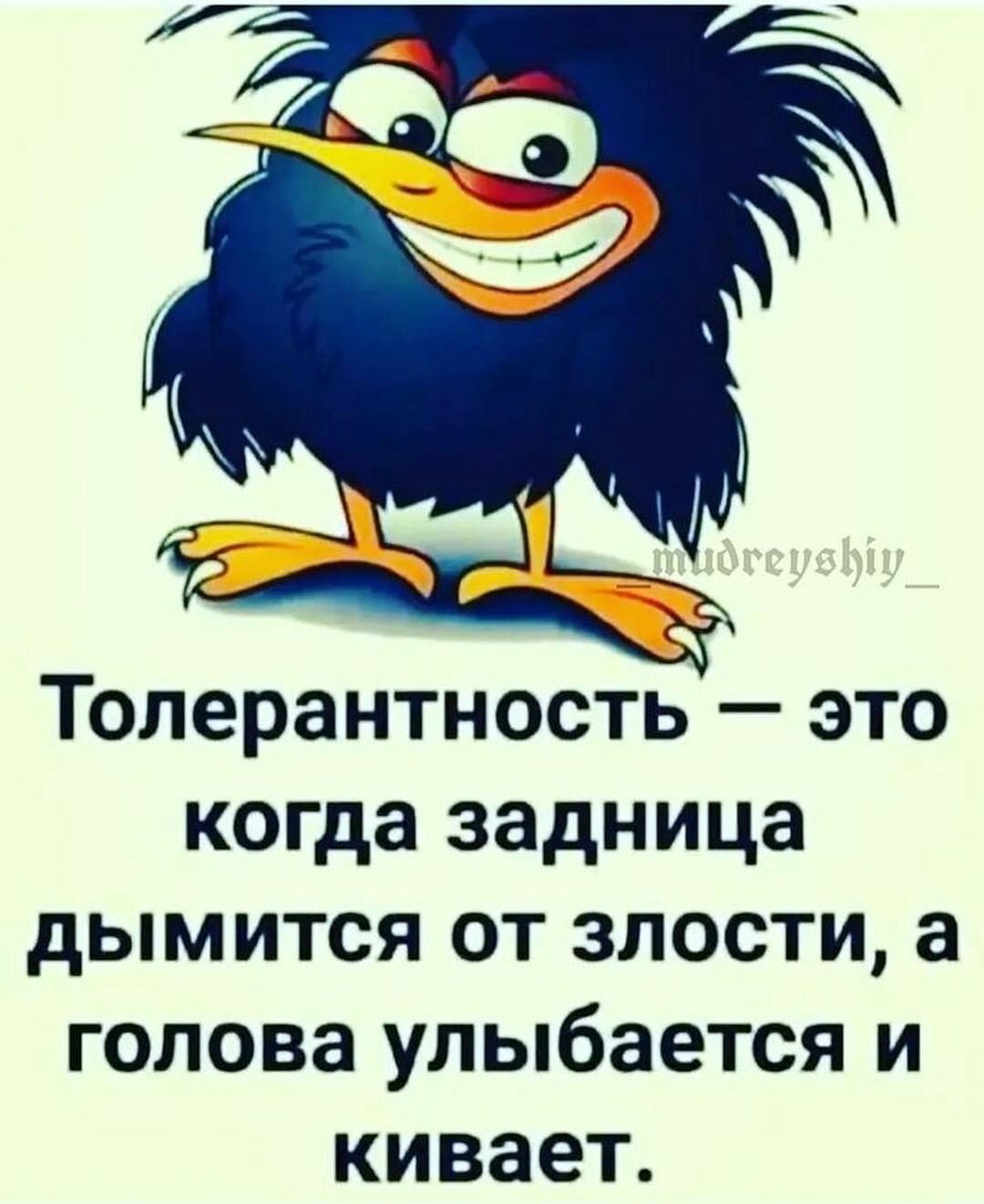 Толерантность это когда задница дымится от злости а голова улыбается и кивает