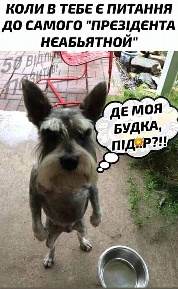 КОЛИ В ТЕБЕ Е ПИТАННЯ ДО САМОГО ПРЕЗДЕНТА унедвьдятнои