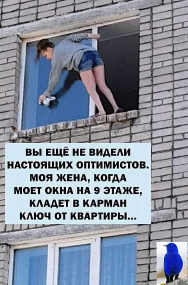 и д ВЫ ЕЩЁ НЕ ВИДЕ НАСТОЯЩИХ ОПТИМИСТОВ МОЯ ЖЕНА КОГДА МОЕТ ОКНА НА 9 ЭТАЖЕ КАААЕТ В КАРМАН КАЮЧ ОТ КВАРТИРЫ
