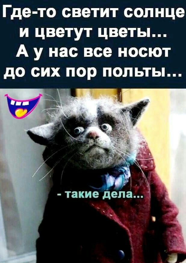 Где то светит солнце и цветут цветы А у нас все носют до сих пор польты