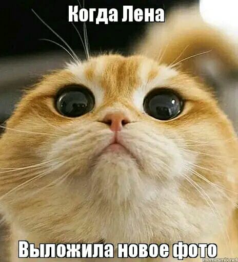 Ногда Лена Ёв
