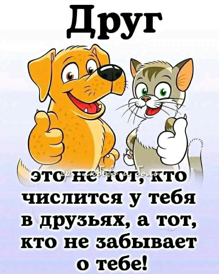 это нетот кто числится у тебя в друзьях а тот кто не забывает о тебе