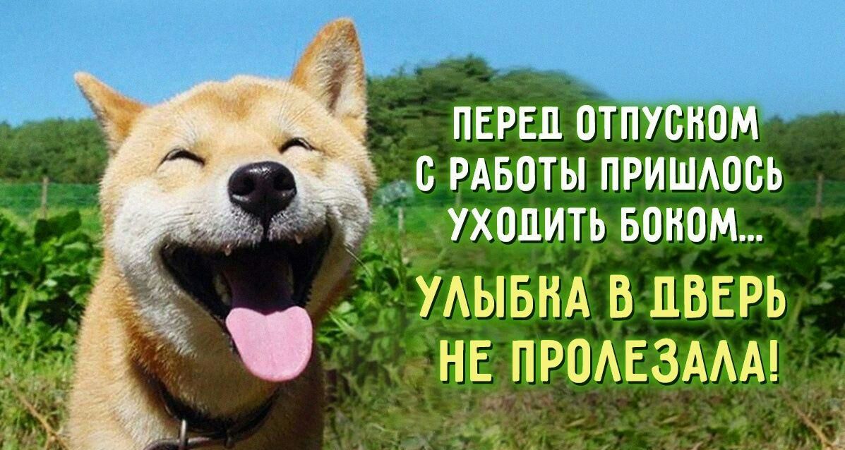 ПЕРЕЦ ОТПУСНОМ В РАБОТЫ ПРИШАПБЬ _ УХОДИТЬ БШШМ мышц в пвврь нв продвзмм
