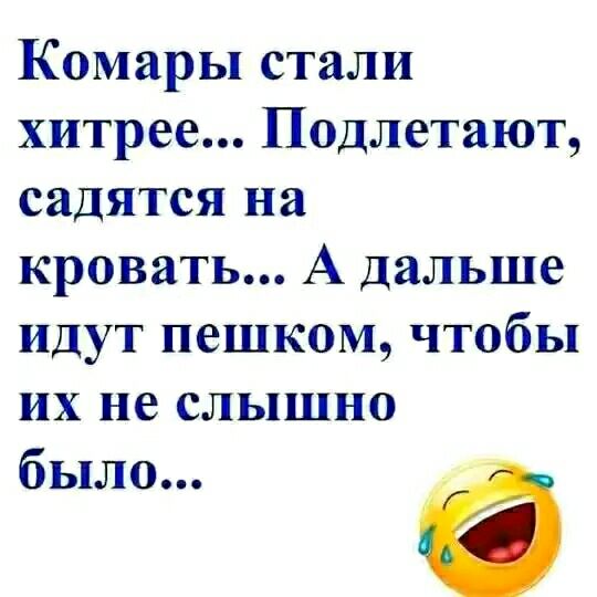 Комары стали хитрее Подлетают садятся на кровать А дальше идут пешком чтобы их не слышно было 6