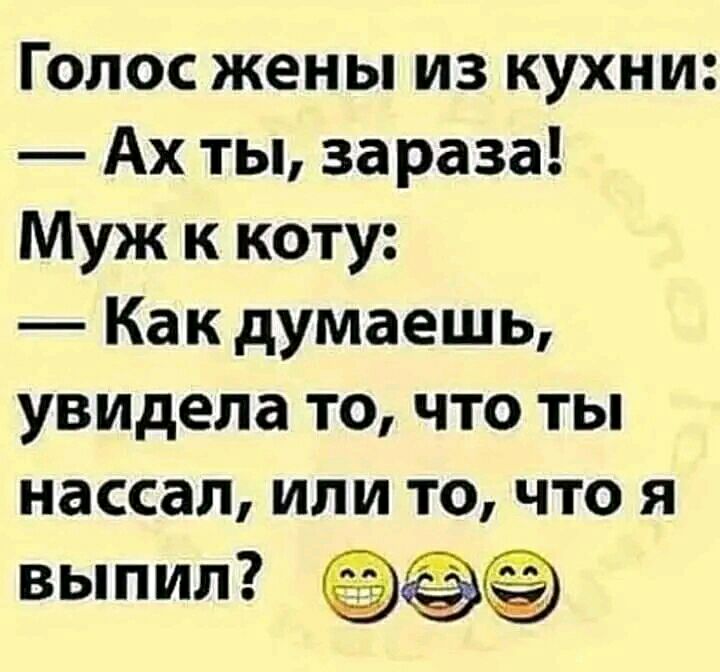 Голос жены из кухни Ах ты зараза Муж к коту Как думаешь увидела то что ты нассап или то что я выпил