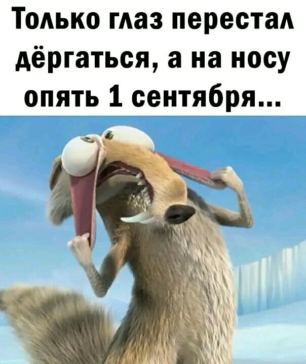 Тодько маз перестаА дёргаться а на носу опять 1 сентября
