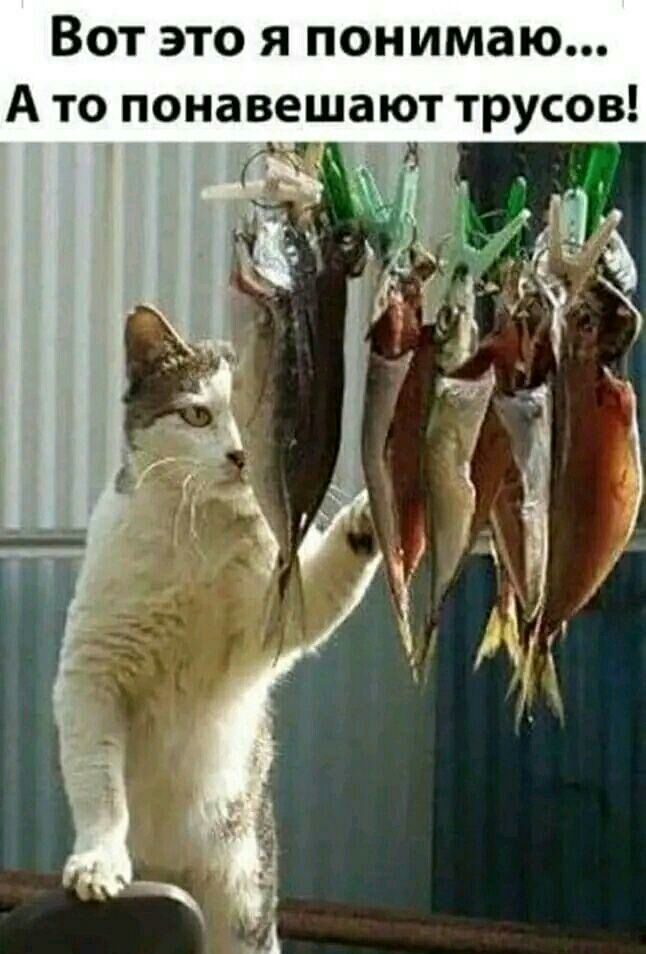 ВОТ ЭТО Я понимаю