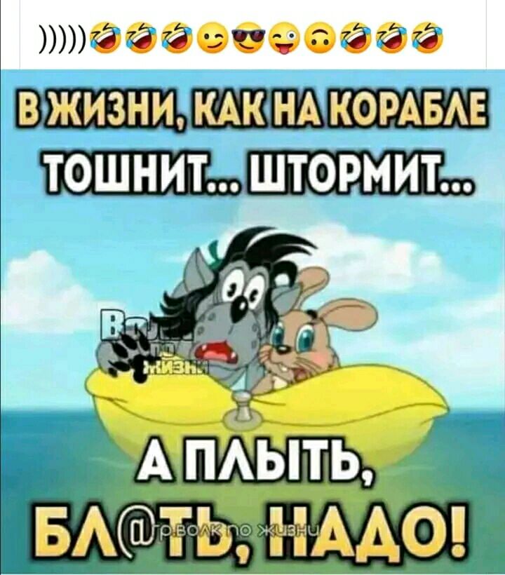 1ааозсэзаеа ТОШНИТ ШТОРМИТ
