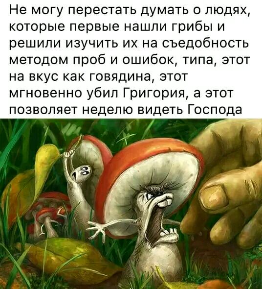Не могу перестать думать о людях которые первые нашли грибы и решили изучить их на съедобность методом проб и ошибок типа этот на ВКУС как ГОЕЯДИНЭ ЭТОТ мгновенно убип Григория а этот позволяет неделю видеть Господа