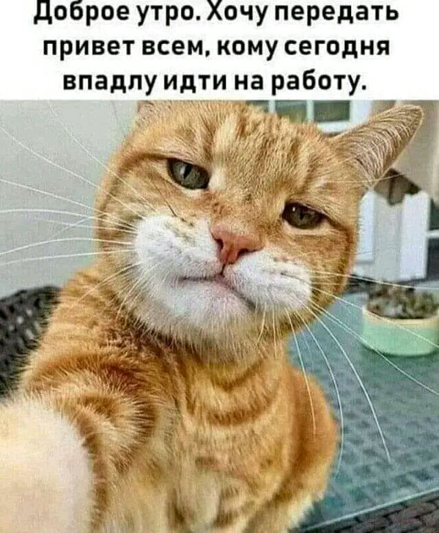 доброе утро Хочу передать привет всем кому сегодня впадлу идти на работу