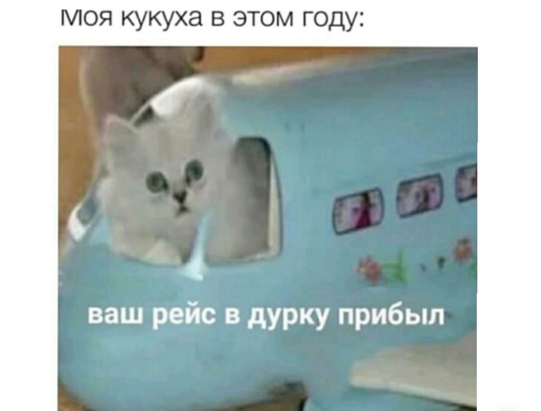 моя кукуха в этом гоцу ваш рейс в дурку прибыл