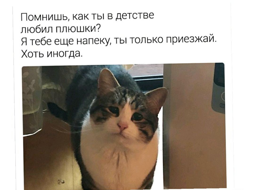 ПОМНИШЬ как ТЫ В детстве любил плюшки Я тебе еще напеку ты только приезжай Хоть иногда