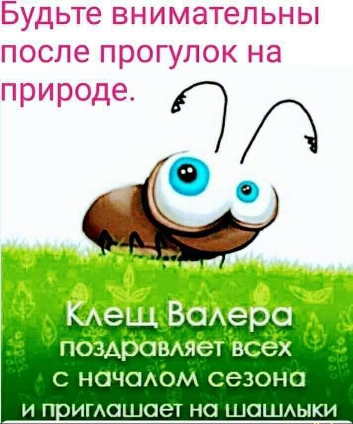 Будьте внимательны после прогулок на природе йдіф _ А С НОЧСАОМ СЭЗОНО И ПОИГАОШОЭТ НО ШОШАЫКИ