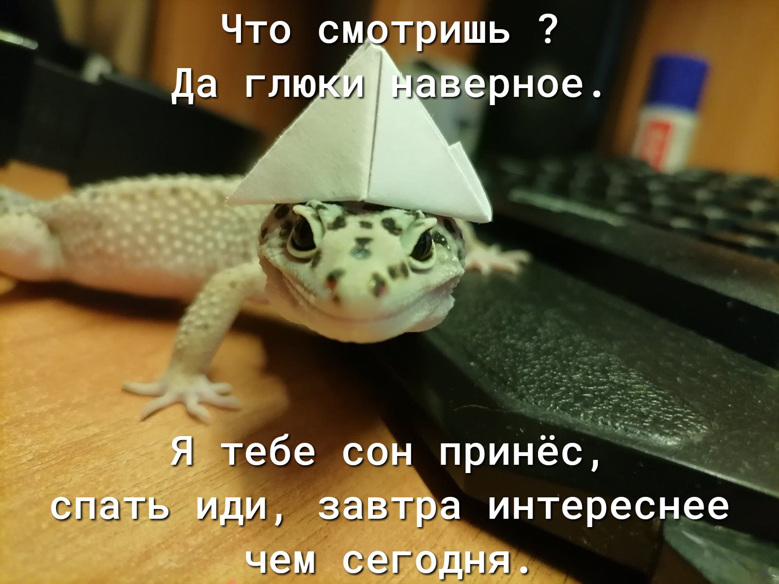 3351155 интереснее ви
