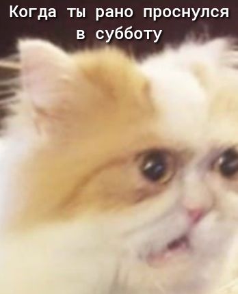 Когда ты рано проснулся в субботу Р и
