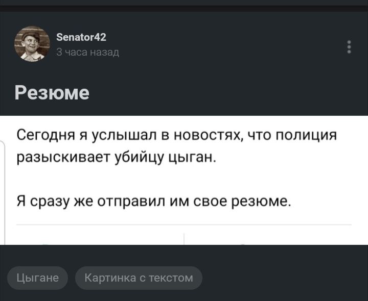 Зепаіог42 Сегодня я услышал в новостях что полиция разыскиваетубий цыган Я сразу же отправил им свое резюме