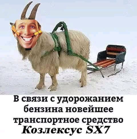 В связи с удорожанием бензина новейшее транспортное средство Козлексус ЗХ 7
