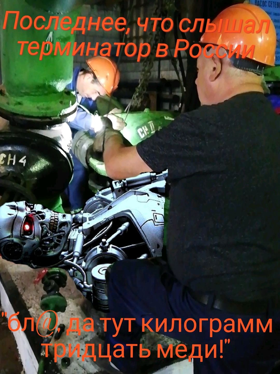 цКать йёіци