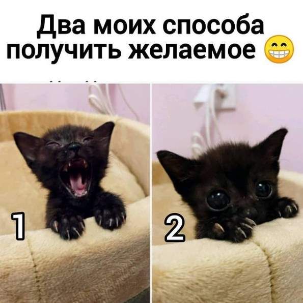 Два моих способа получить желаемое
