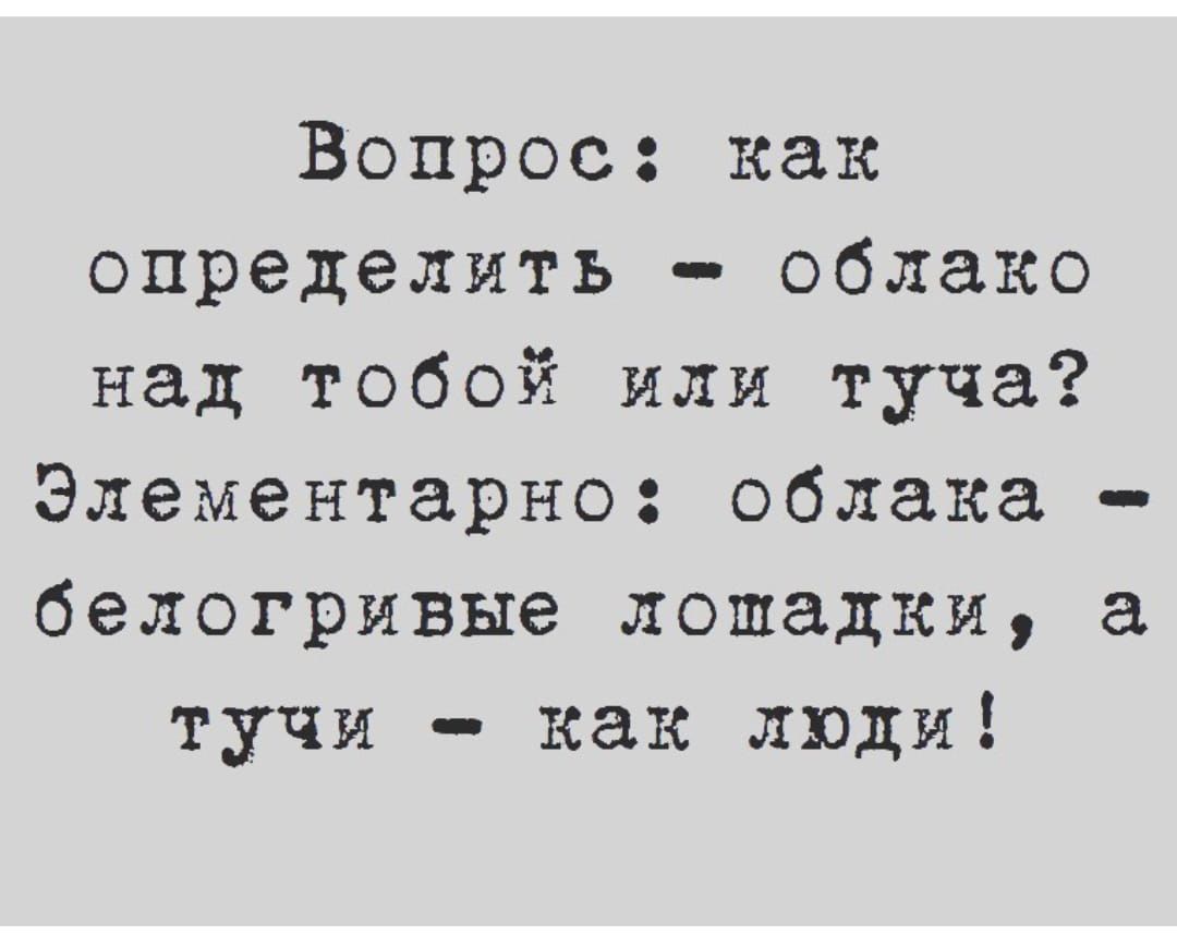 Вопрос как определить облако над тобой или туча Элементарно облака белогривые лошадки тучи как люди
