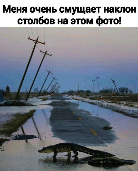 Меня очень смущает наклон столбов на этом фото