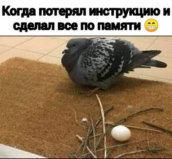 Когдапотеряпжструщиюи сдепапвеепопамятие