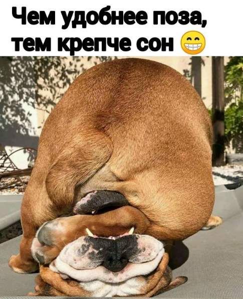 Чем удобнее поза