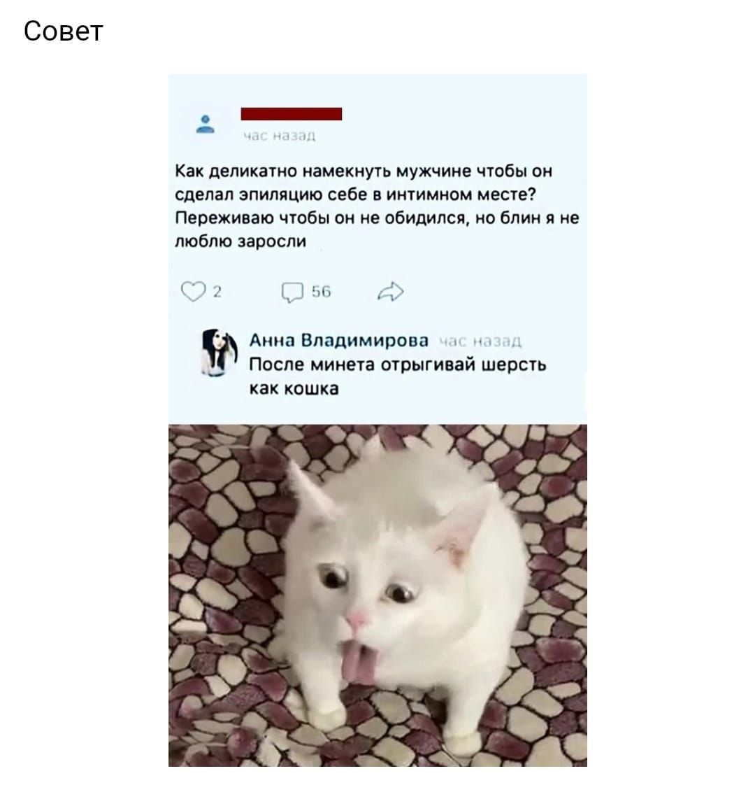 Совет _ Как деликатно намекнуть мужчине чтобы он сделал эпиляцию себе в интимном месте Переживаю чтобы он не обидился но блин я не люблю заросли 7 Д 56 Анна Владимирова __ После минета отрыгивай шерсть как кошка