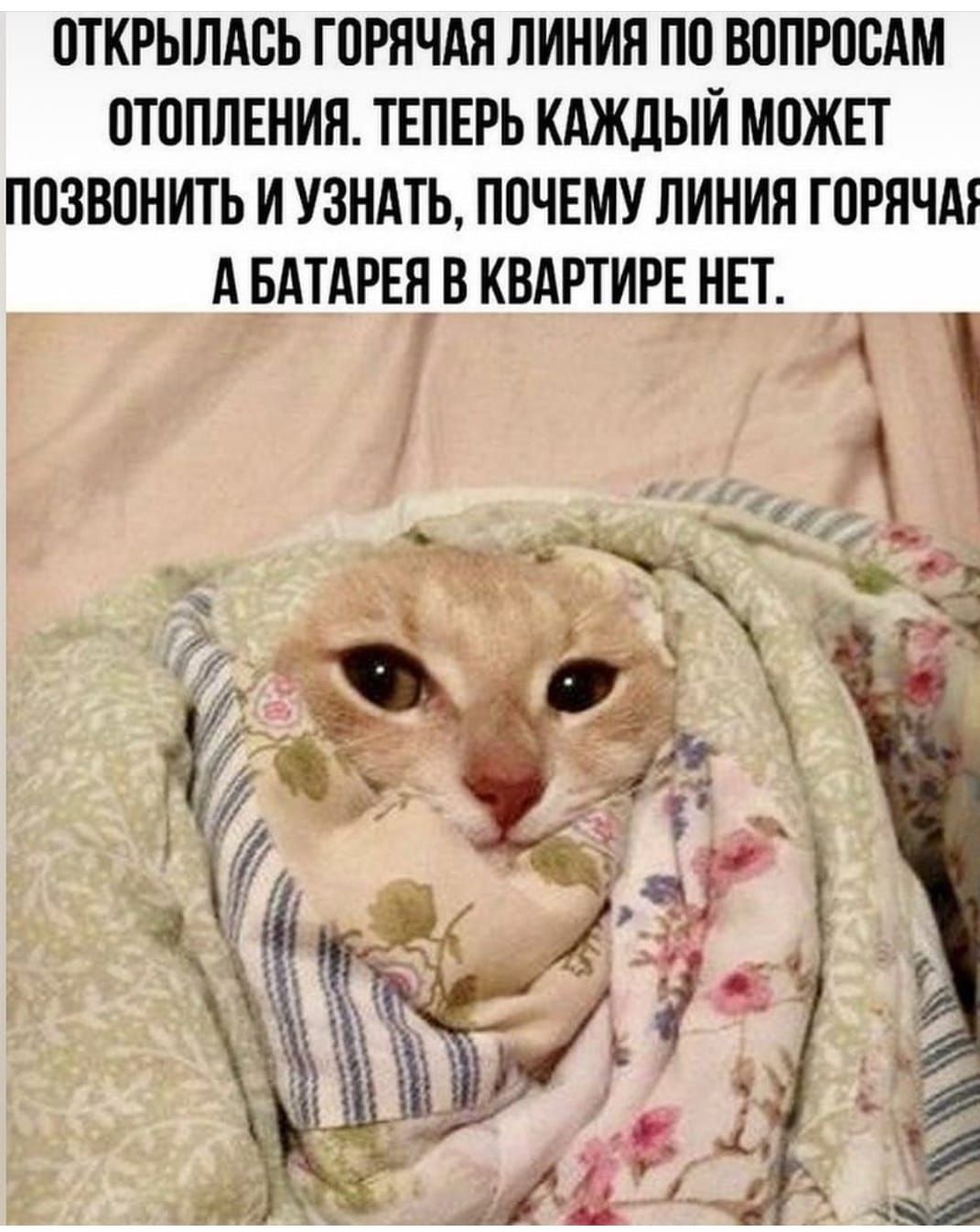 ПЁ И у М_ПЁЦЪ Г Ё _ 31ті_Н_Н_
