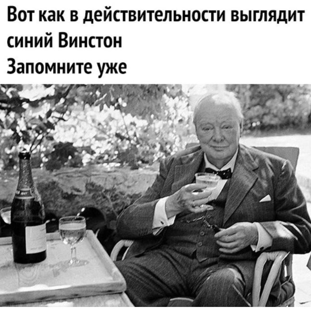 Вот как в действительности ВЫГЛЯдИТ синий Винстон Запомните уже