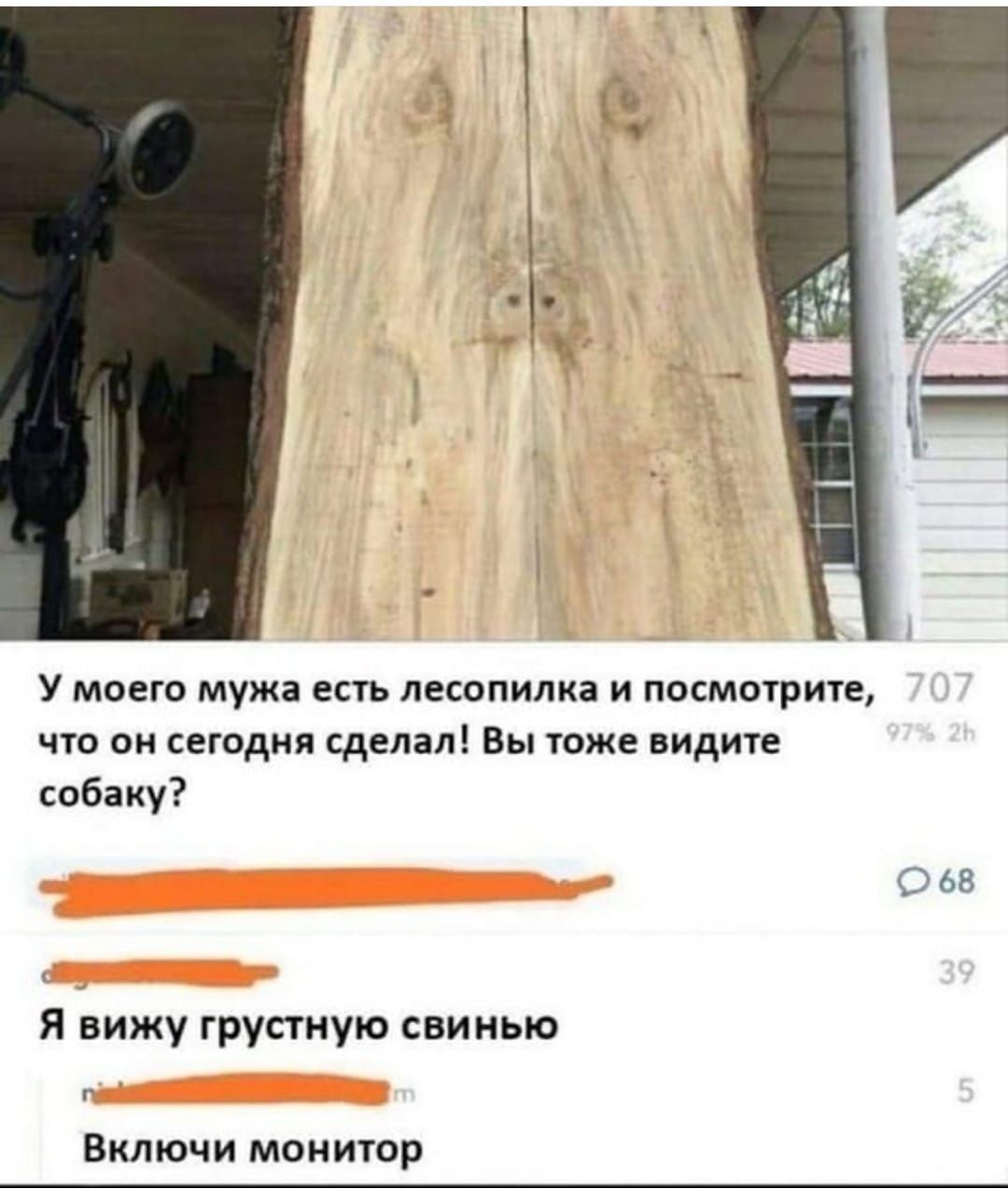 У МОЕГО мужа ЕСТЬ ЛЕСОПИЛКЗ И ПОСМОТРИТе что он сегодня сделал Вы тоже видите собаку Я еижу грустную свинью Г Включи монитор 068