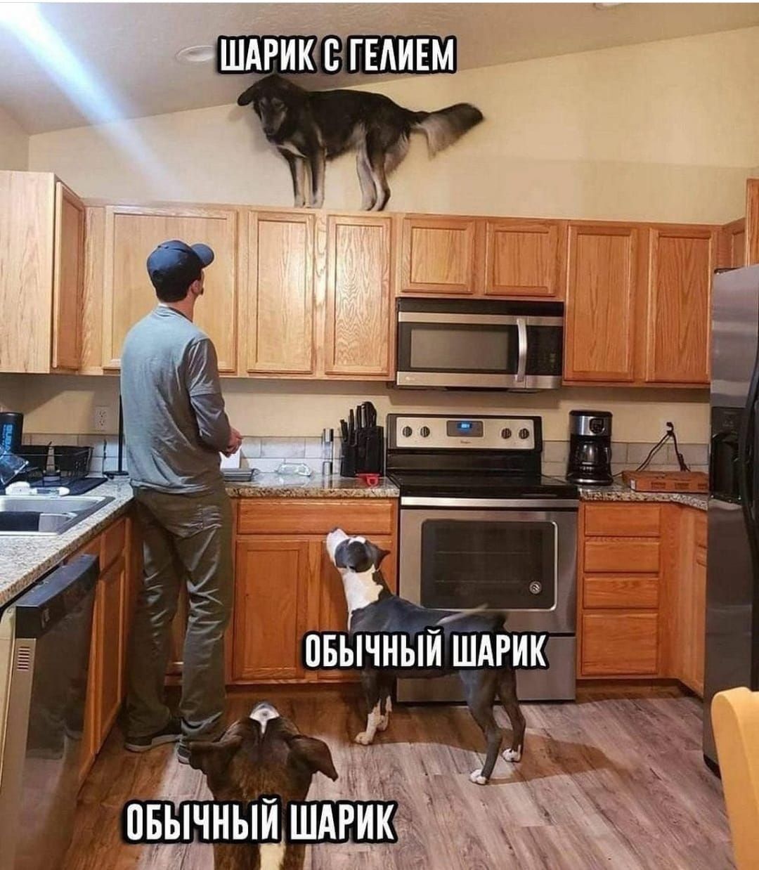 ШАРИКЕ_ГЕАИЕМ