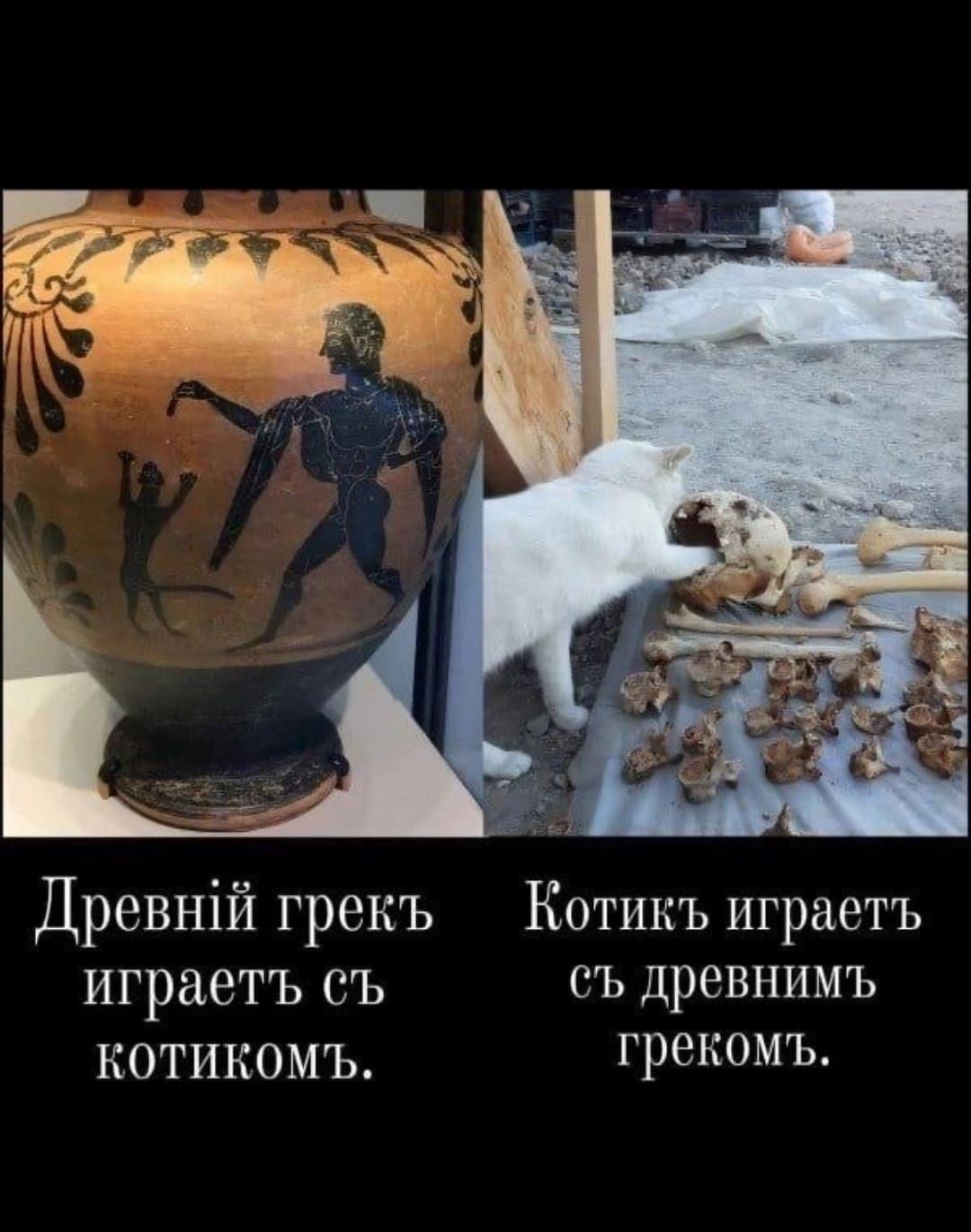 Древшй грекъ Котикъ играетъ играетъ съ съ древнимъ котикомъ Грекомъ